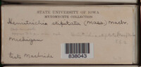 Image Associated With the Occurence
